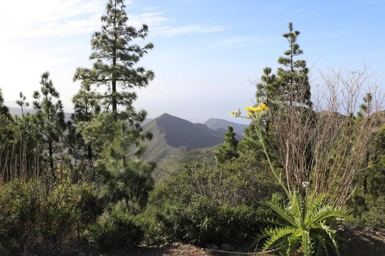 Apartamento Traditional Canarian Home With Fantastic View Santiago del Teide